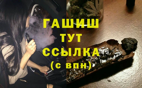 гашик Арсеньев