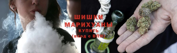 гашик Арсеньев