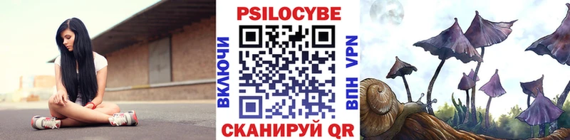 Псилоцибиновые грибы прущие грибы  Купить закладки  Сердобск 