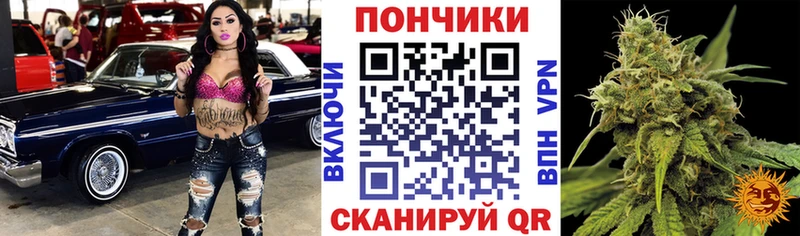Купить где  Сердобск  Бошки Шишки Bruce Banner 